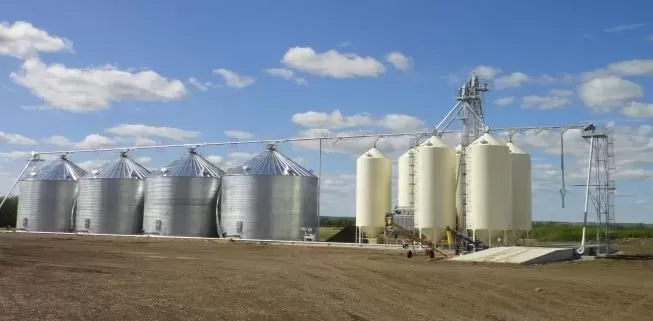 grain loops e1582273534410